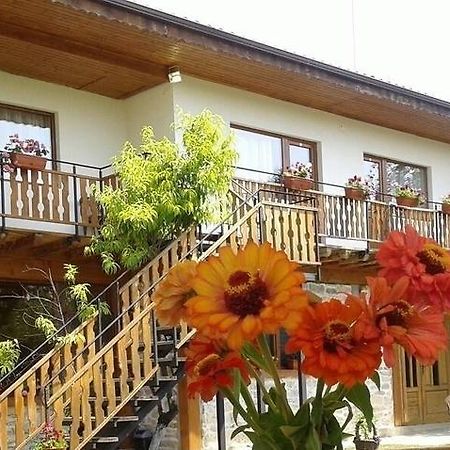 Guest House Friends Emen Экстерьер фото